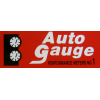 Auto gauge